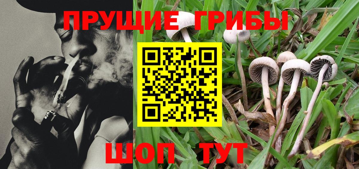 Галлюциногенные грибы ЛСД  Галлюциногенные грибы Cubensis  Вход с VPN  купить закладку  Ангарск 